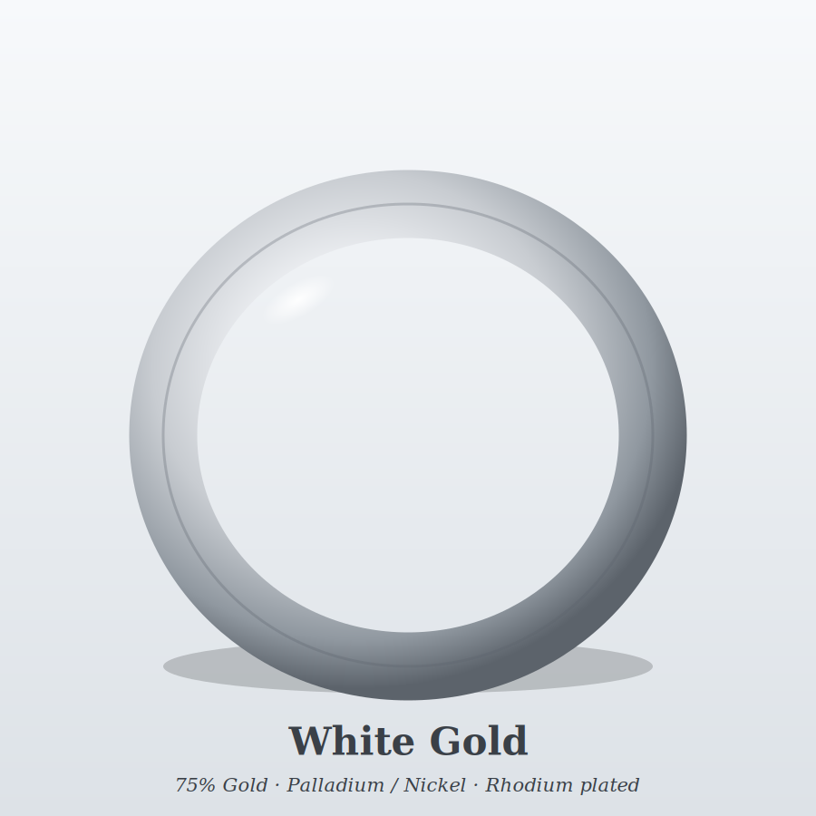 10K White Gold